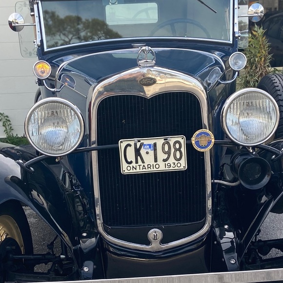 Meet your Posher, Lynne - Picture 1 of 1